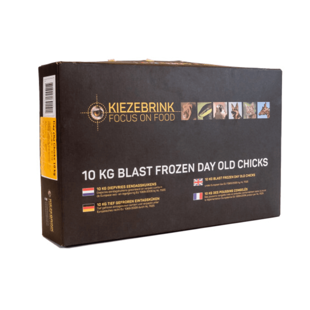 Day Old Chicks 10 kg (Black Box)