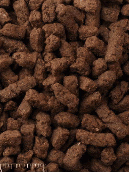 Mazuri Exotic Feline (Small) Diet 11.3kg