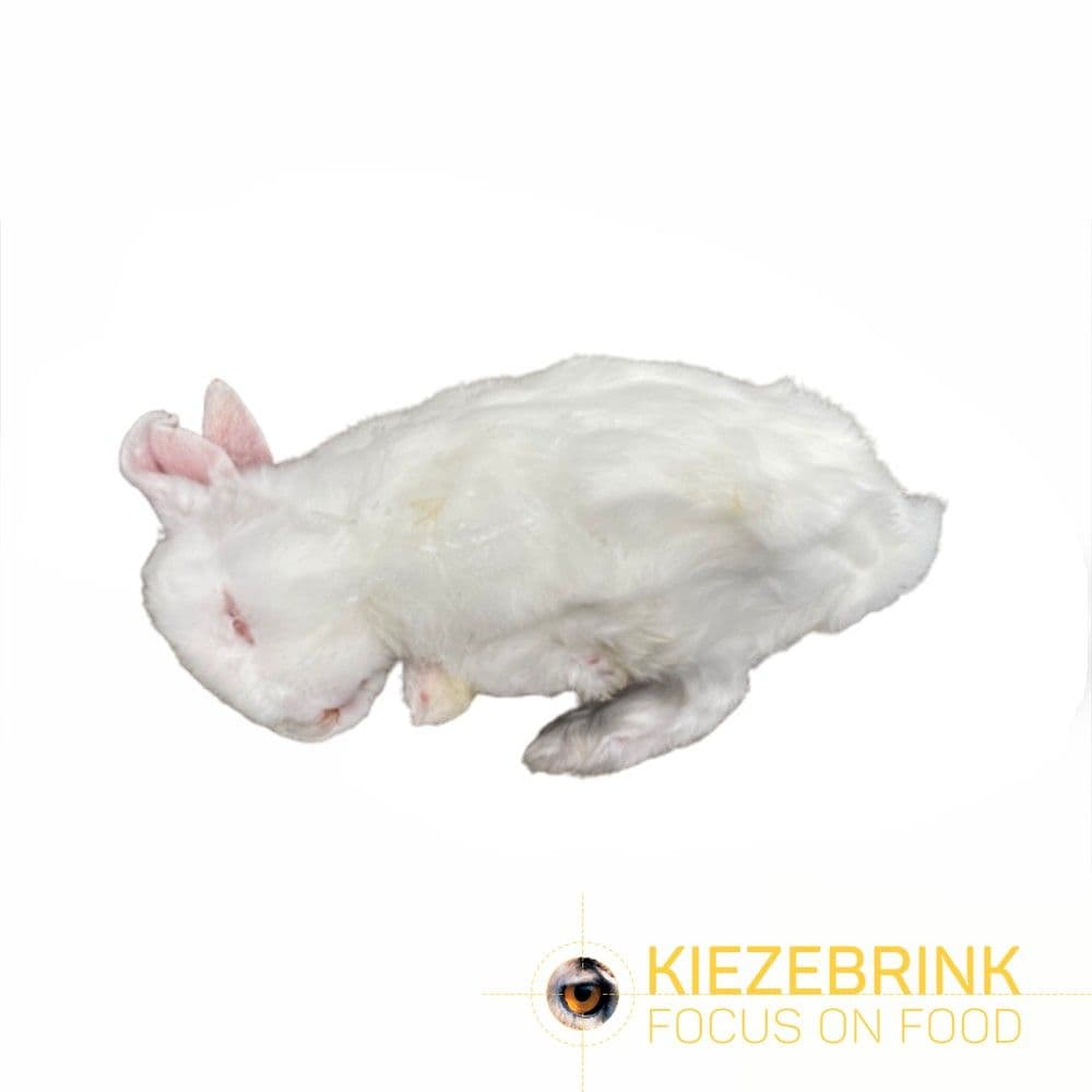 Regular rabbit - (500gm - 1kg)