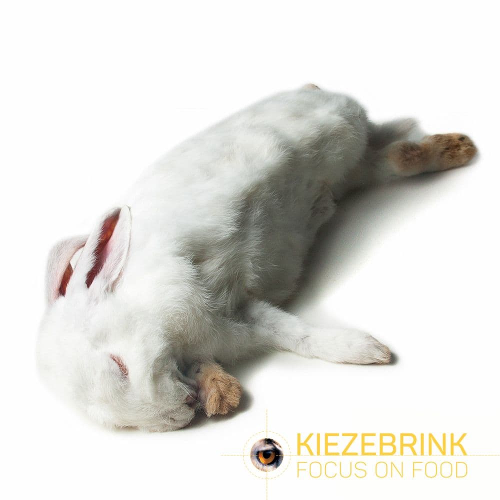 Giant rabbit - (2 - 3.5kg)