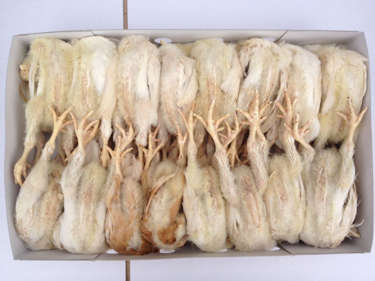 Grown on chickens (150-250gm) -box of 30