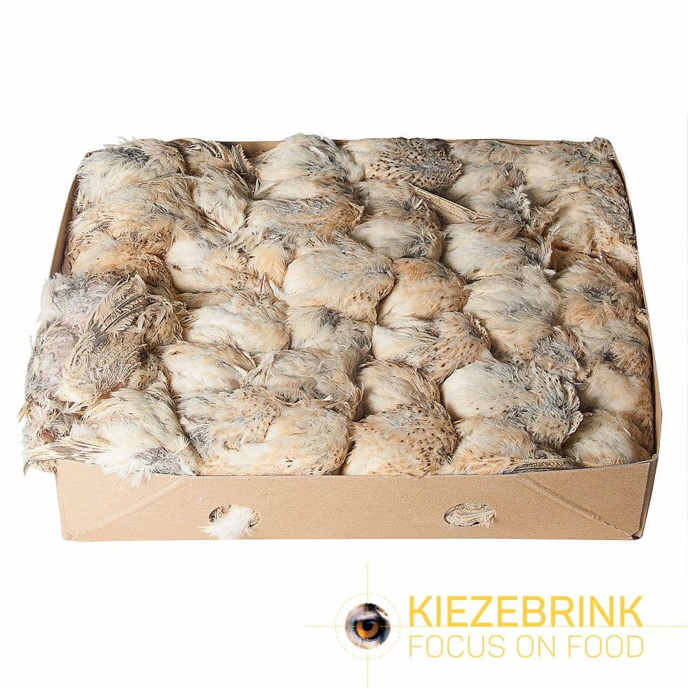 English prime quail - box of 40