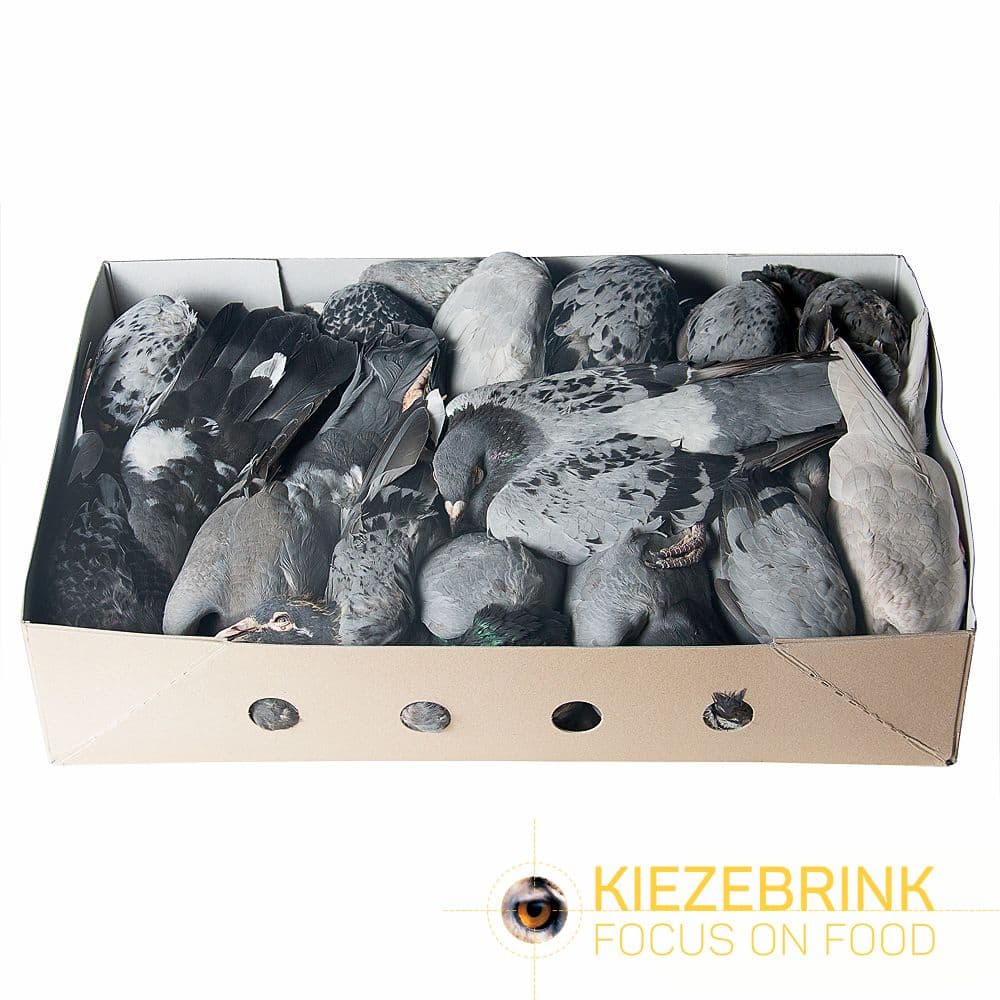 Pigeons (Wild, Wood Pigeon) - Box of 10