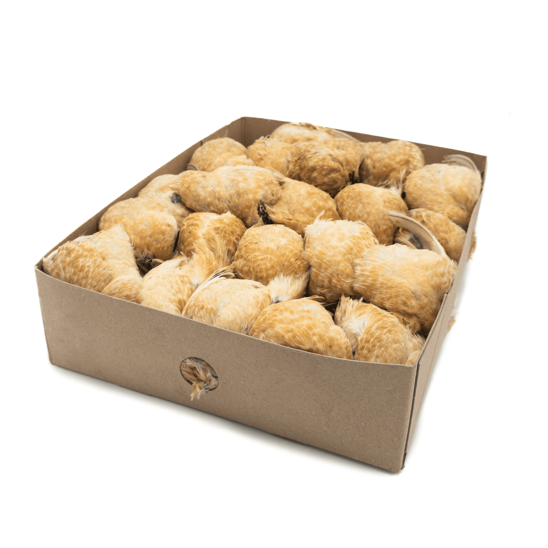 French Ex-layer Quail - 6kg Box