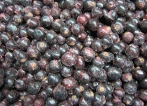 Blackcurrants IQF - 10kg box